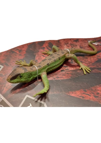 Calimera Toys Hayvan Figürleri Oyuncak Kertenkele fiyatları