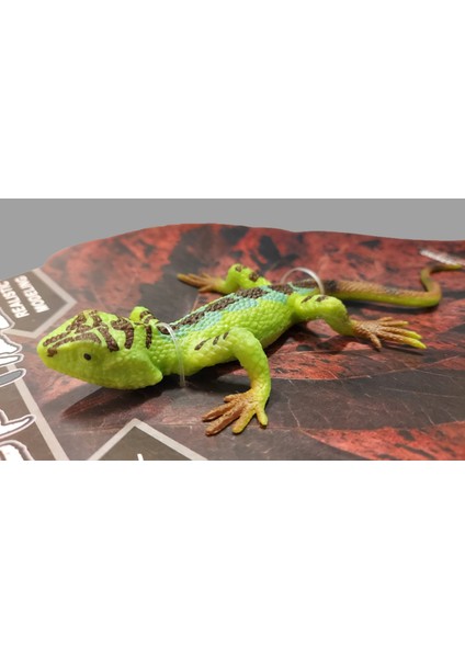 Calimera Toys Hayvan Figürleri Oyuncak Kertenkele Yeşil