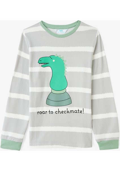 Açık Gri Erkek Çocuk Chess Play Dinozor Desenli Pijama Takımı fiyatları