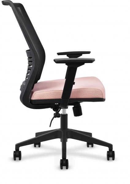 Léon Ofis Çalışma Sandalyesi Pembe