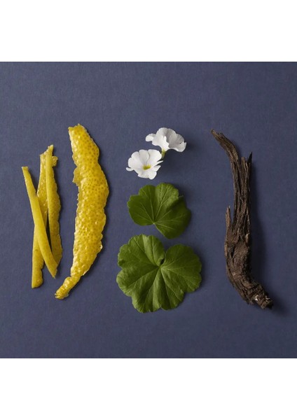 Glacier Erkek Parfüm - Edt - 100 ml - 35665