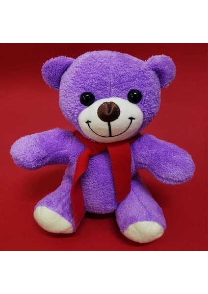 Öğretmenler Günü Hediyesi Peluş Ayıcık modelleri