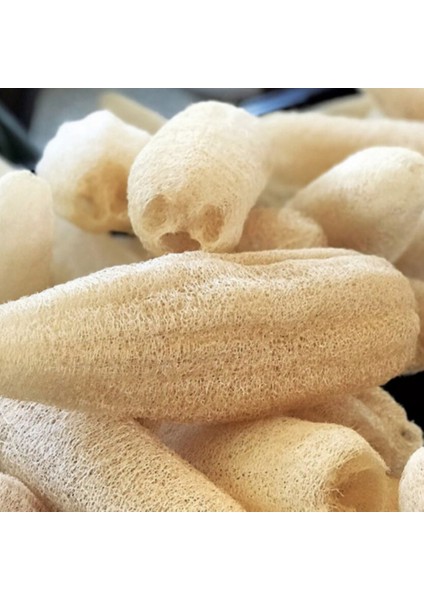 Doğal Kabak Lifi modelleri