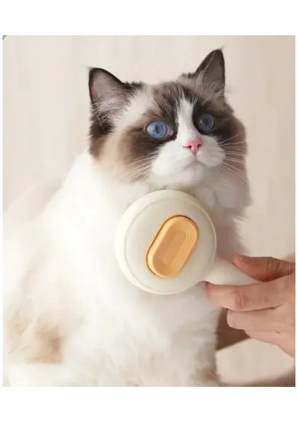 Evcil Hayvan Yuvarlak Basmalı Tarak modelleri