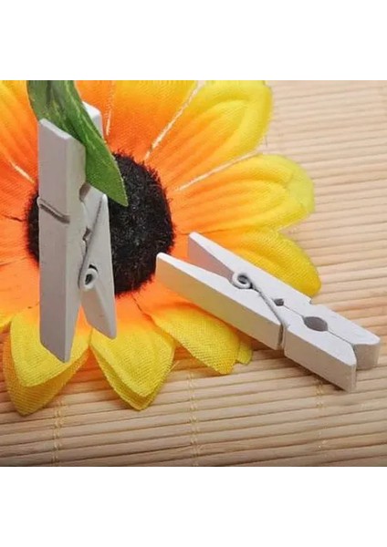 1000 Adet Beyaz Ahşap Mandal Seti (2.5 Cm) indirimleri