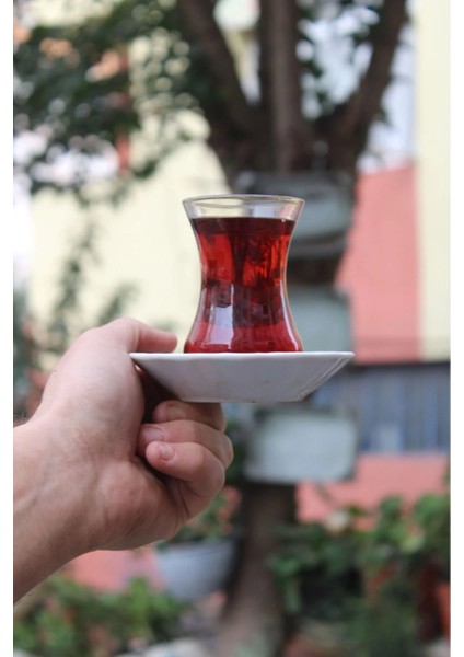 Export 5000 Gr. Çay modelleri
