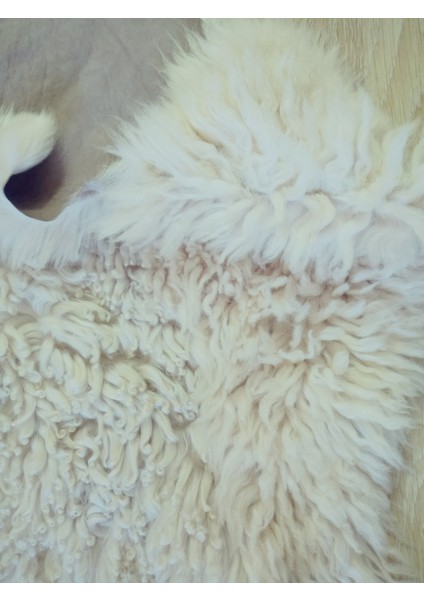 Gerçek Koyun Postundan Toskana Uzun Tüylü, Kalın Tok Duran Rengarenk Halı Seccade fırsatları