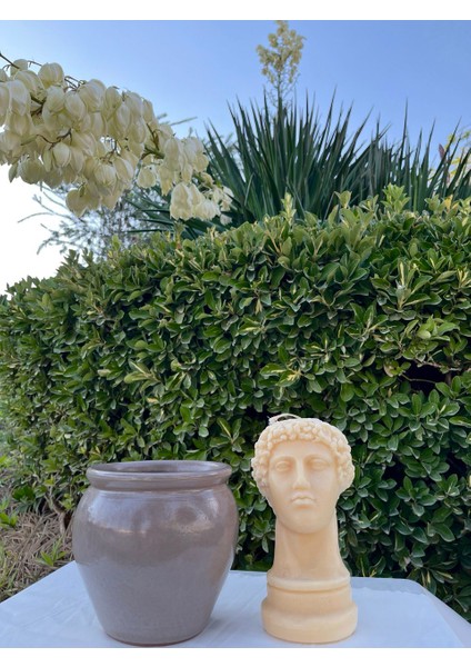 Neva Saksı- Dekoratif Seramik Bej Saksı