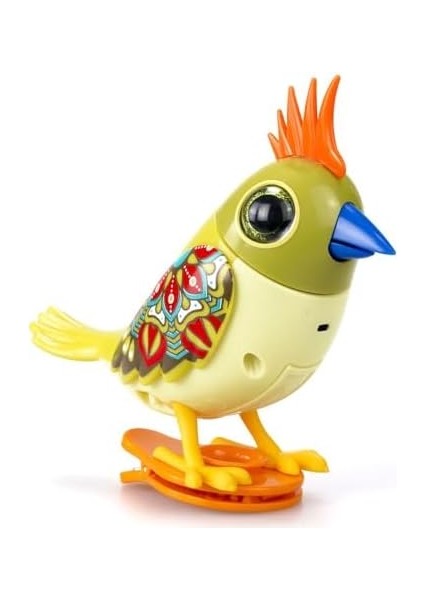 Digibirds Tekli Paket Seri-2 Asorti modelleri