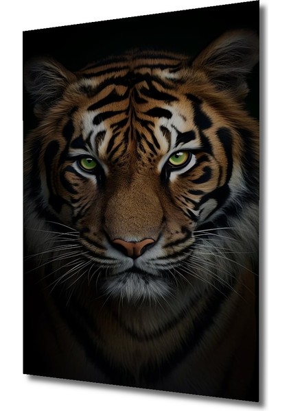 Asil Kaplan Ahşap Mdf Dekoratif Ev/işyeri Duvar Tablo Dikdörtgen Ev/işyeri Duvar Tablo fiyatları