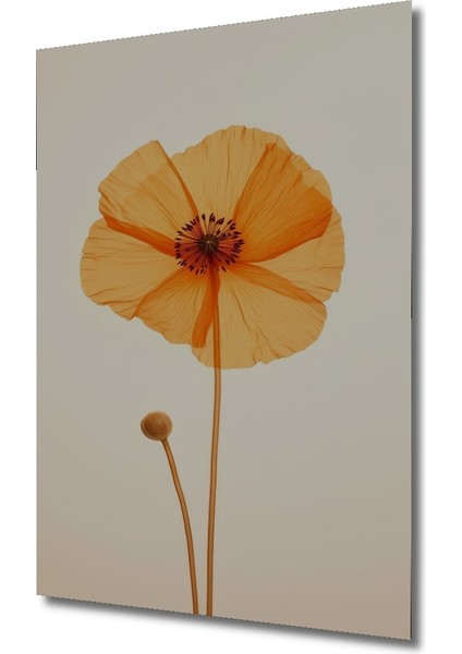 Turuncu Gelincik Çiçeği Dekoratif Ahşap Mdf Ev/işyeri Duvar Tablo Dikdörtgen Ev/işyeri Duvar Tablo fiyatları