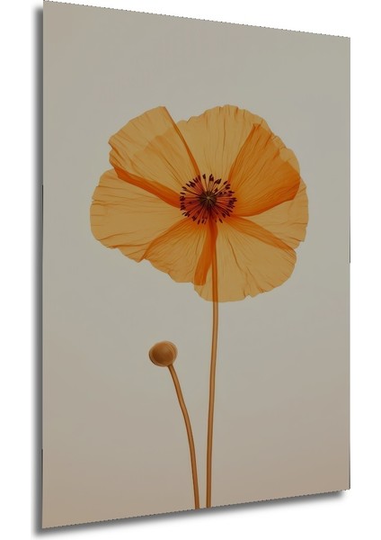 Turuncu Gelincik Çiçeği Dekoratif Ahşap Mdf Ev/işyeri Duvar Tablo Dikdörtgen Ev/işyeri Duvar Tablo modelleri