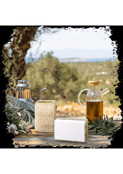 Doğal Kabak Lifli Çay Ağacı Sabunu fiyatları