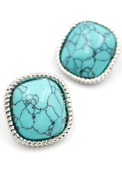 Turkauz Taşlı Küpe - Gümüş fiyatları