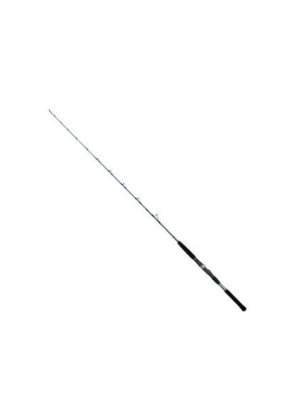 Infinite Boat Iı 2 Parça Jig Kamışı