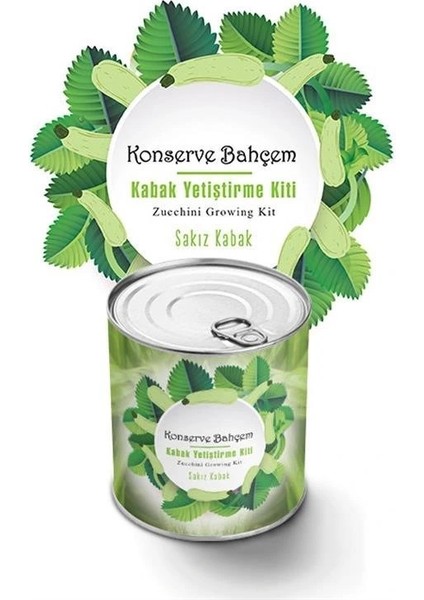 Buffer® Konserve Bahçem Evde Konservede Sakız Kabak Yetiştirme Kiti fiyatları
