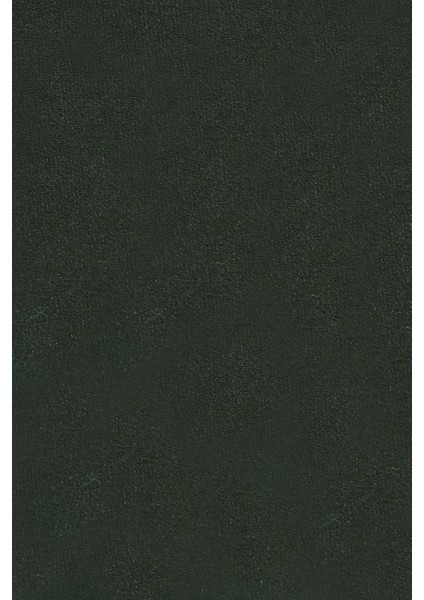 Anka Serisi Premium Kalite Silinebilir Döşemelik Kumaş