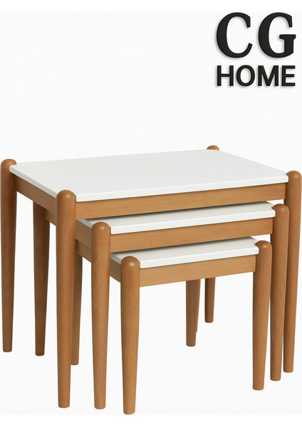 Ada Zigon Sehpa Üçlü Lüx %100 Ağaç Lake Boyalı Sehpa