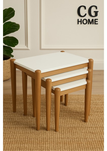 Ada Zigon Sehpa Üçlü Lüx %100 Ağaç Lake Boyalı Sehpa fiyatları