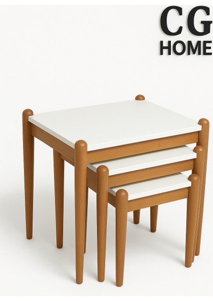 Ada Zigon Sehpa Üçlü Lüx %100 Ağaç Lake Boyalı Sehpa fırsatları