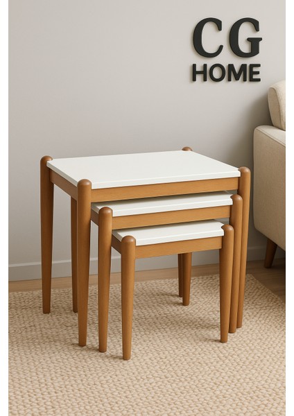 Ada Zigon Sehpa Üçlü Lüx %100 Ağaç Lake Boyalı Sehpa indirimleri