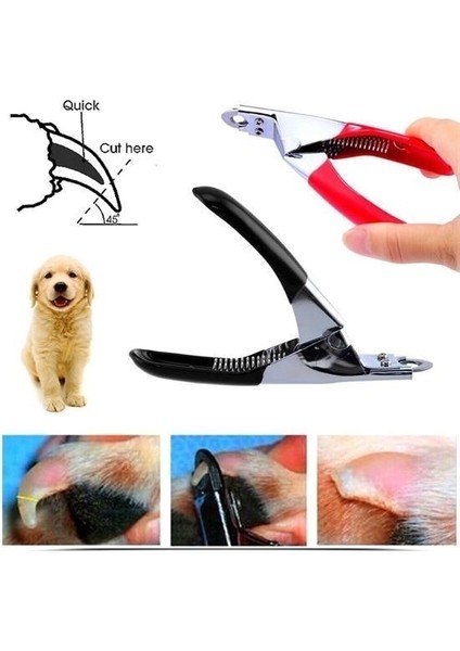 ® Evcil Hayvanlarınız Için Tırnak Makası modelleri