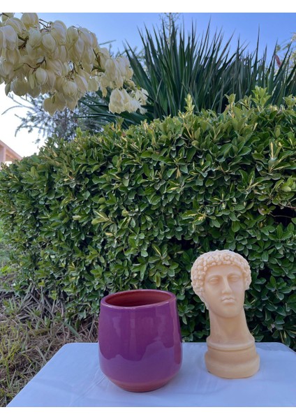 Damla Saksı-Dekoratif Seramik Fuşya Saksı modelleri