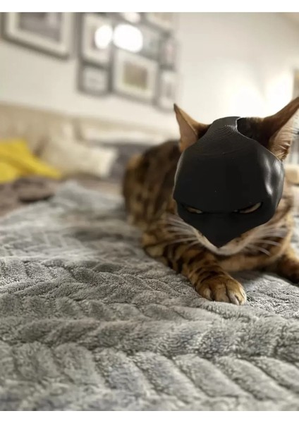 Kedi Maskesi Catmask Batman Kedi Maskesi