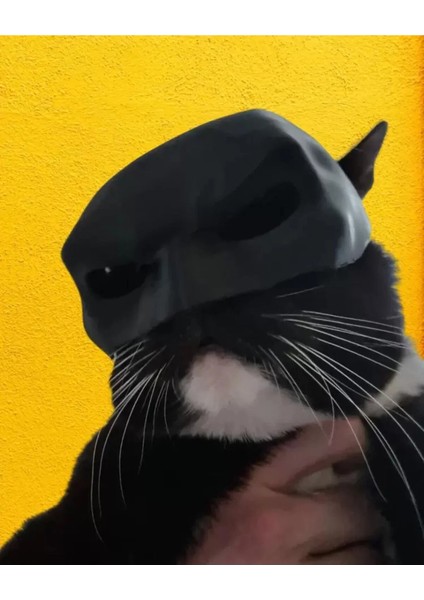 Kedi Maskesi Catmask Batman Kedi Maskesi fiyatları