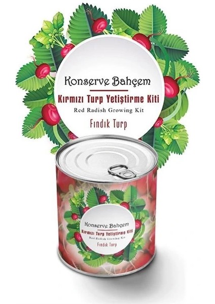 Buffer® Konserve Bahçem Evde Konservede Fındık Turp Yetiştirme Kiti fiyatları