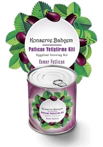 Buffer® Konserve Bahçem Evde Konservede Kemer Patlıcanyetiştirme Kiti fiyatları