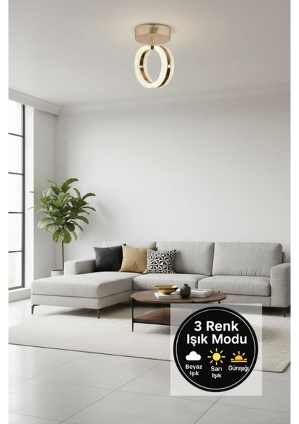 Aurea Model Gold Plafonyer 3 Renk Modu Ledli Modern Salon Mutfak Çocuk Odası LED Avize