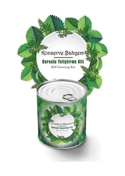 Buffer® Konserve Bahçem Evde Konservede Dereotu Yetiştirme Kiti Aparatı