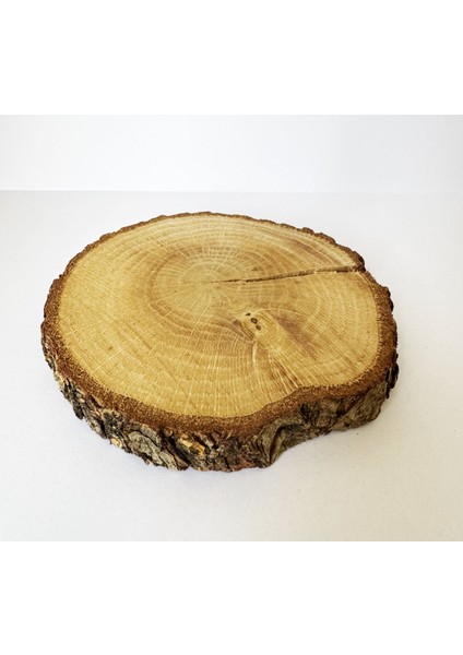 Küçük Izler 5 - 10 Adet Ağaç Dilimi 12 Cm, Kütük Dilimi, Odun Dilimi, Etkinlik Boyama