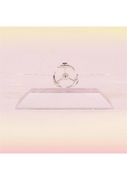 Buffer® Dekoratif Masa Üstü Obje Manyetik Kinetik Orbital Dönen Yunuslar