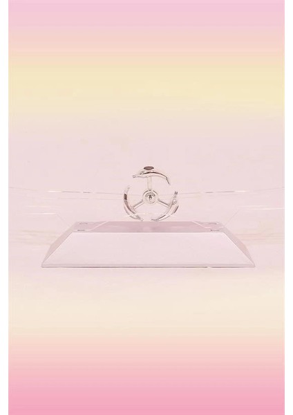 Buffer® Dekoratif Masa Üstü Obje Manyetik Kinetik Orbital Dönen Yunuslar fırsatları