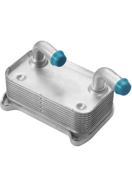 63163 Motor Yag Sogutucusu 9496495