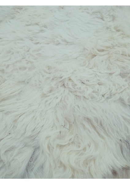 Gerçek Koyun Postundan Toskana Uzun Tüylü, Kalın Tok Duran Rengarenk Halı Seccade fırsatları