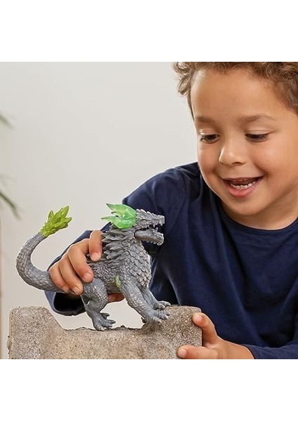 Taş Ejderi fiyatları