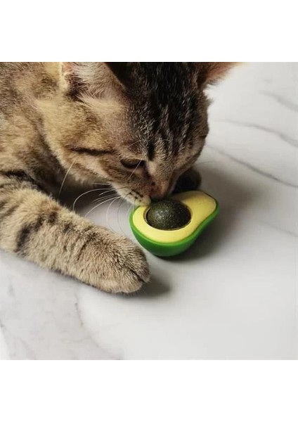 Avokado Model Yapışkanlı Kedi Oyuncağı Yenilebilir Kedi Nanesi Otu fiyatları