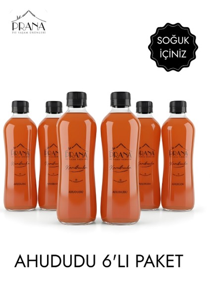 Kombucha Ahududu– 6*330ml - Fermente Probiyotik İçecek fiyatları