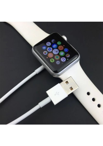 Swatch Apple Watch Için Manyetik Şarj Kablosu 1 METRE-(5775) - A057H520-M91057 modelleri