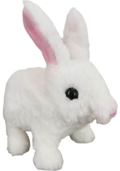 Pilli Zıplayan Oyuncak Tavşan fiyatları