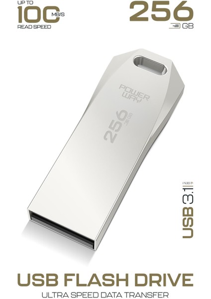 Premium 256 GB USB 3.1 Metal Gövde Ultra Hızlı Flash Bellek Data Traveler fiyatları