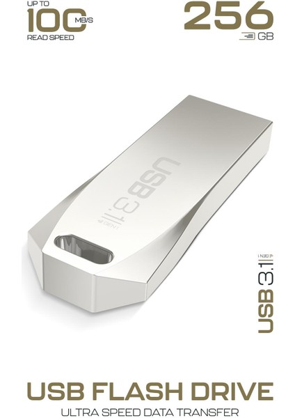 Premium 256 GB USB 3.1 Metal Gövde Ultra Hızlı Flash Bellek Data Traveler modelleri