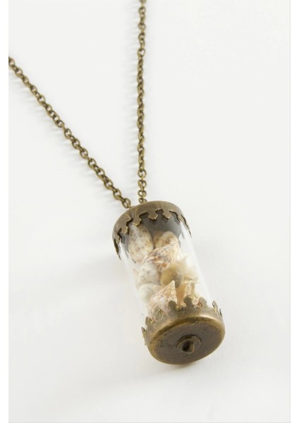 Deniz Kabuğu Fanus Canlı Kolye