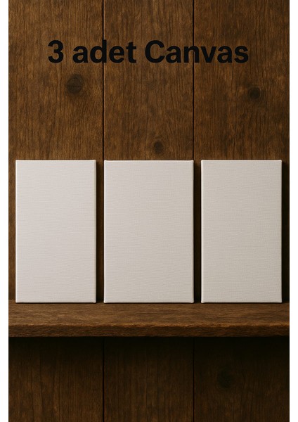 Tuval 35x50 (3 Lü) Arkadan Zımbalı Tüval seti