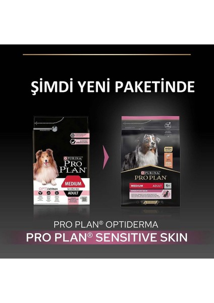 Proplan Sensetive Skin Somonlu Köpek Maması 10 kg modelleri