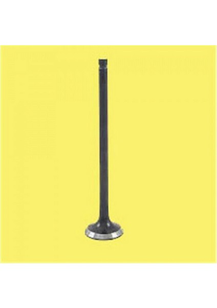 Mtxdpn Subap Emme Eksoz Ford Focus I 98 04 1.6 16V Stellitli Lpg Li Araclar Icin 1836-20/2 / 1866-20/2