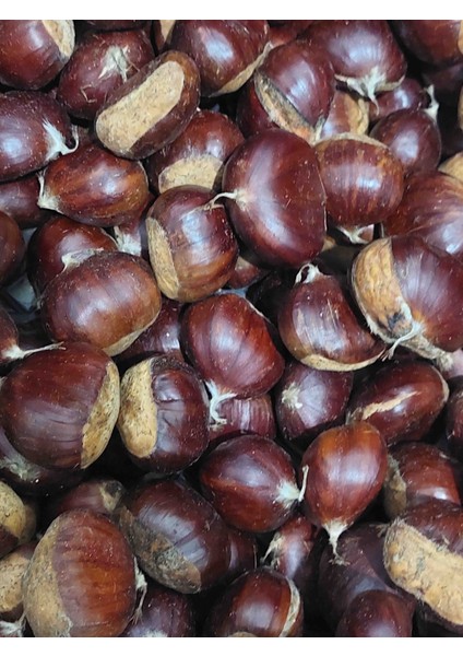 Kestane Yeni Mahsul 1 kg